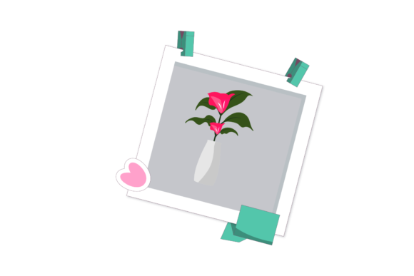 Floral Summer Frames for Creative Projects