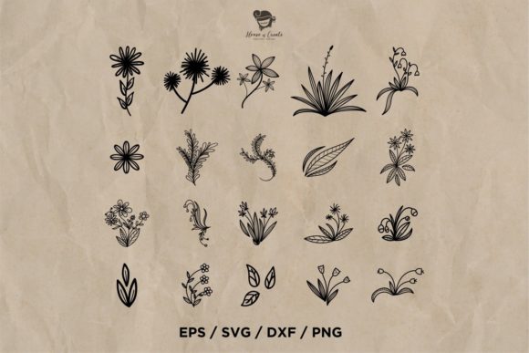 The Creative Potential of Digital Florals: An In-depth Look at Floral and Branches Set 2